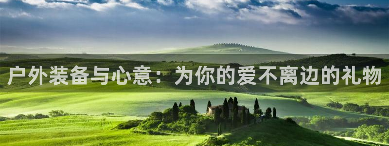 www.新宝gg