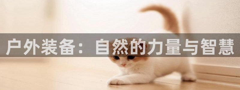 新宝gg开户