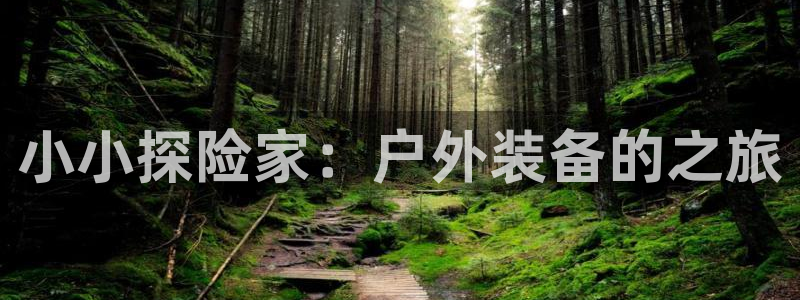 新宝gg网投