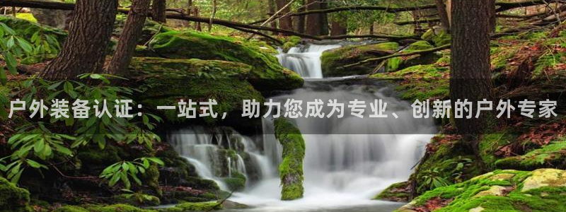 新宝gg注销