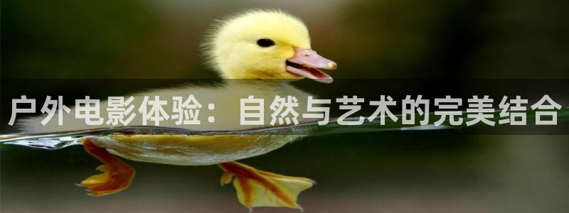 新宝gg总代理