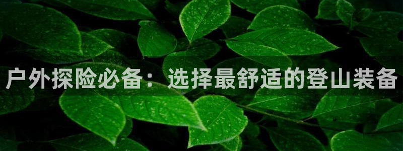 娱乐世界新宝gg