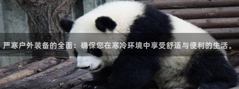 新宝gg开奖结果