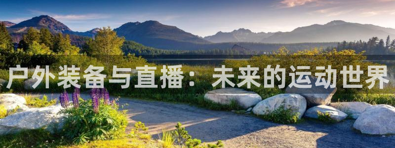 新宝gg主管花木兰