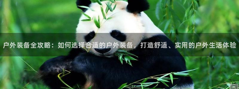 新宝gg开户流程