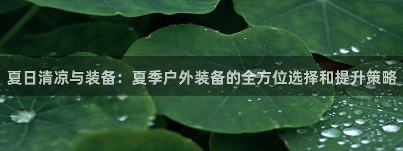 新宝gg网