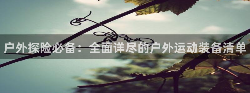 新宝gg娱乐官网