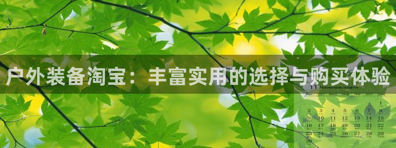 新宝GG娱