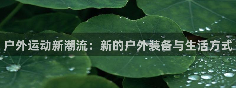 新宝gg如何登录