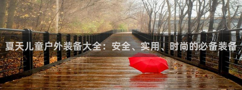 网站是新宝gg