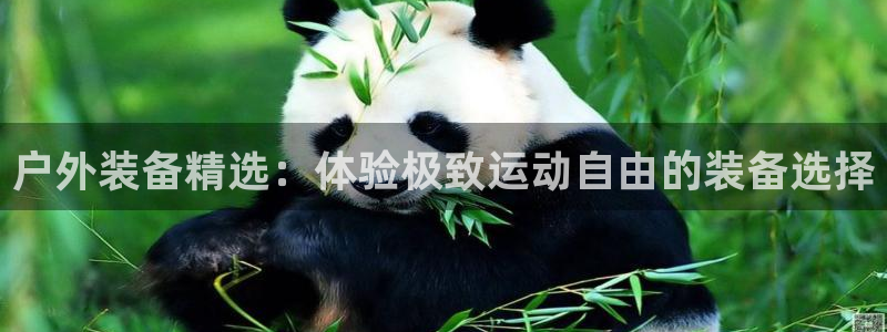 新宝gg怎样代理