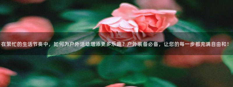 新宝gg平台q891465