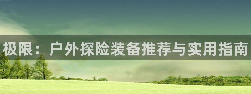 新宝gg代理条件