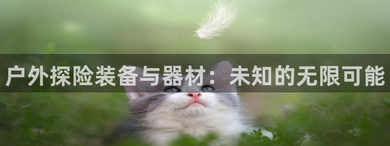 新宝gg登陆平台