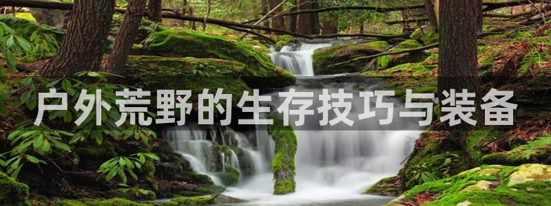 新宝GG桌面