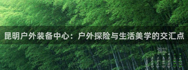 旧版新宝GG