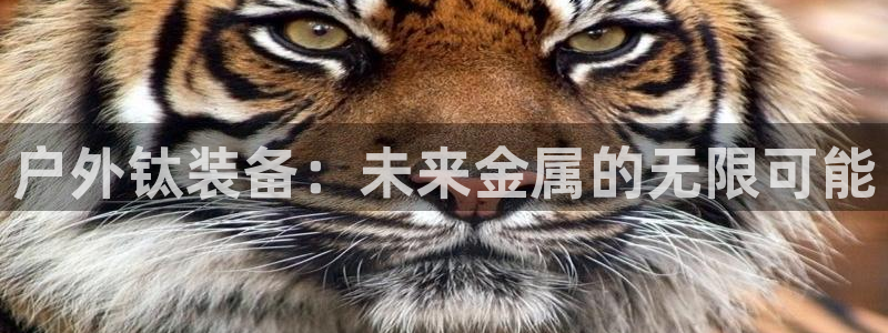 新宝gg如何注册登录