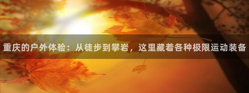 新宝gg登录地址