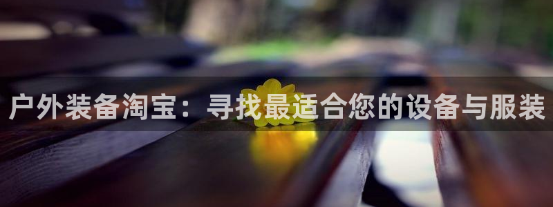 新宝gg返点1956是多少