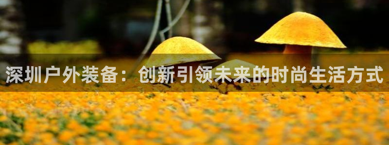 新宝gg登录页面