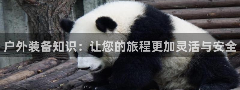 创造奇迹新宝gg