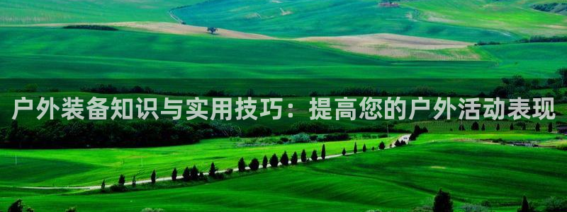 新宝gg挂机软件下载