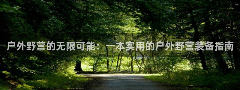 新宝gg用哪个浏览器