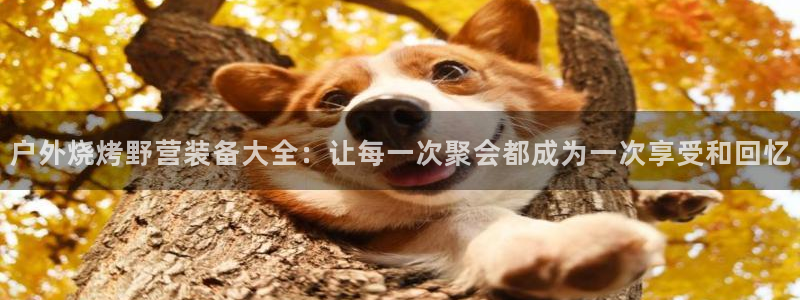 新宝gg登陆