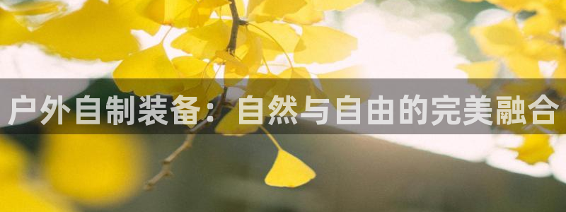 新宝gg找回账号