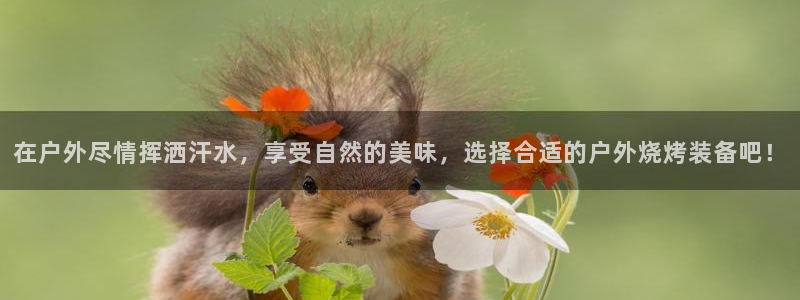 新宝gg手机注册官网