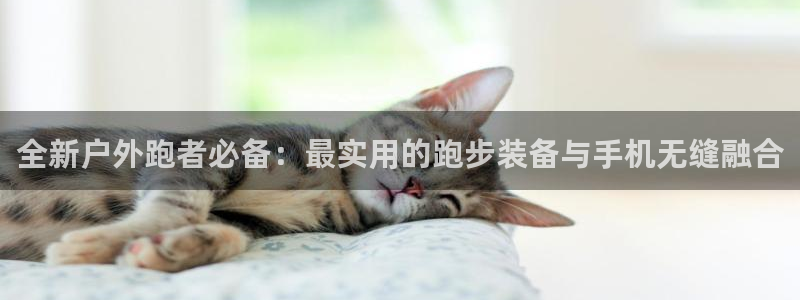 新宝gg主管 9