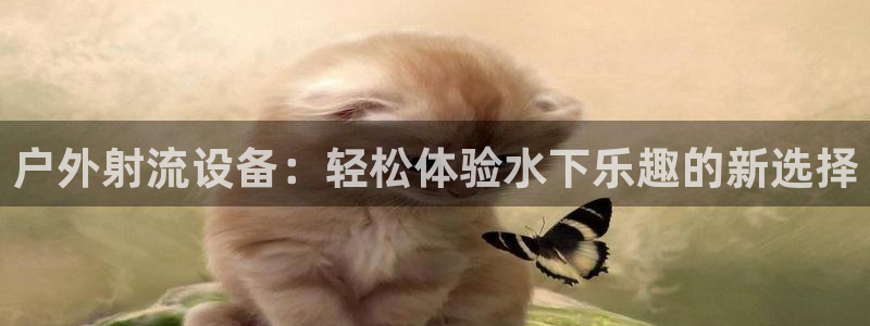 新宝gg正规