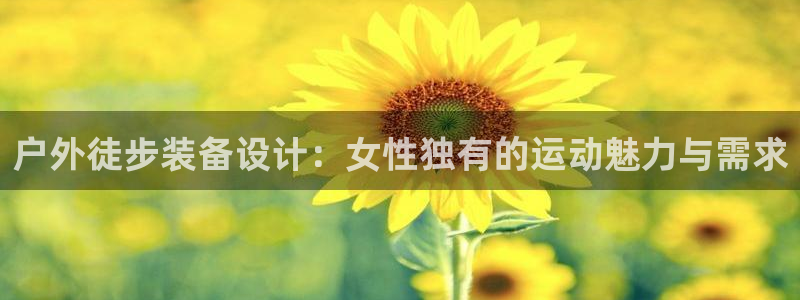 新宝gg登录网址