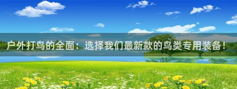 新宝gg如何
