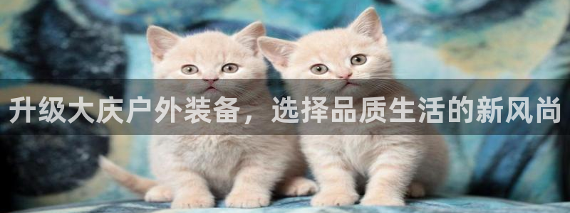 新宝gg联系