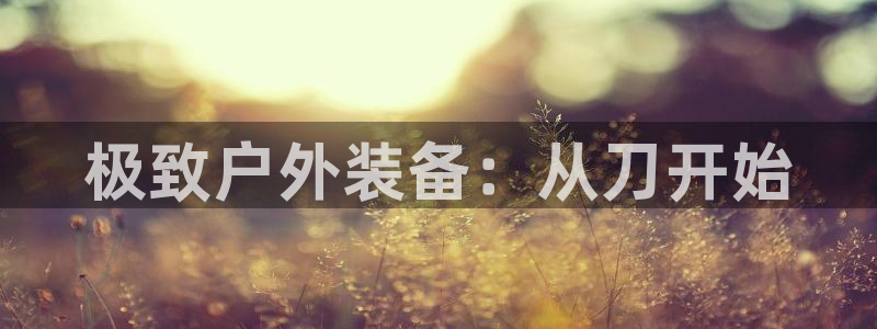 新宝gg   创造奇迹