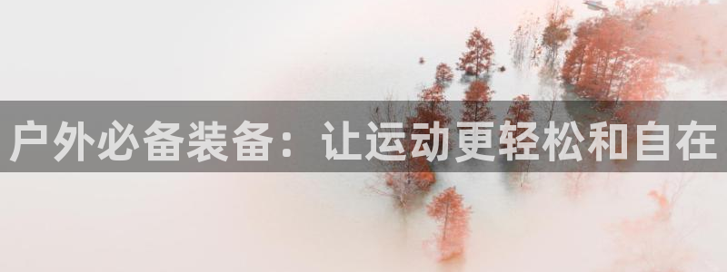 新宝gg平台首页