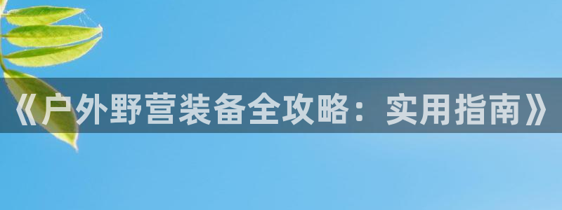 新宝gg地址新宝二
