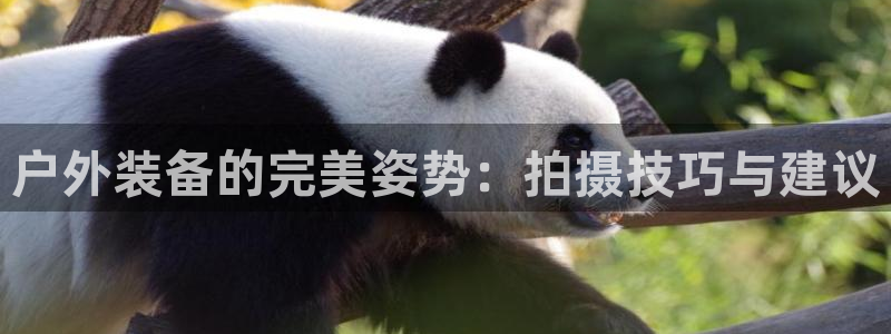 新宝gg如何注册登录