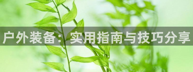 新宝gg注册jhjinde