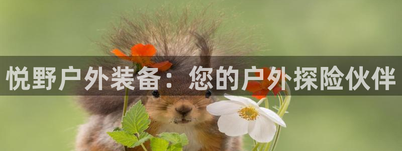 创造奇迹 新宝gg