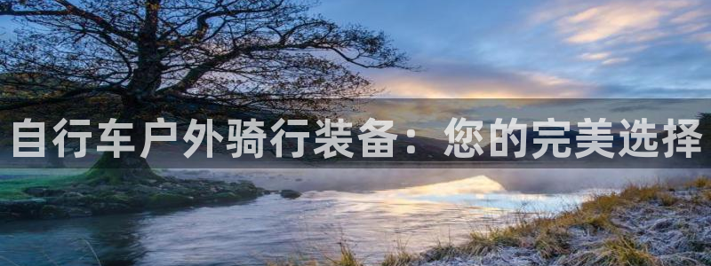 新宝gg如何代理