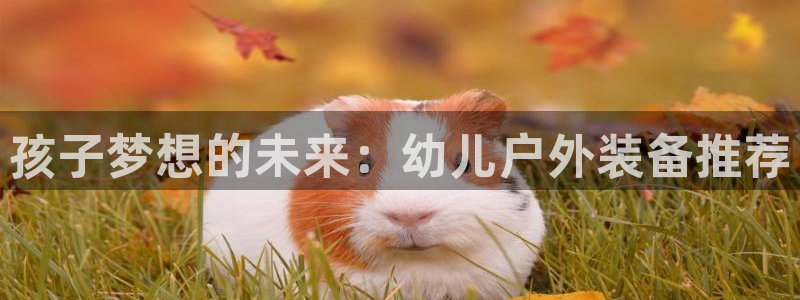 新宝gg龙虎规则