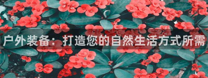 xbgg新宝gg