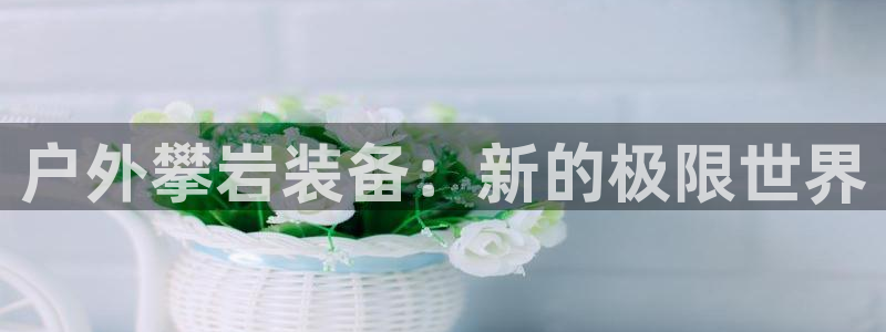 新宝gg 52360