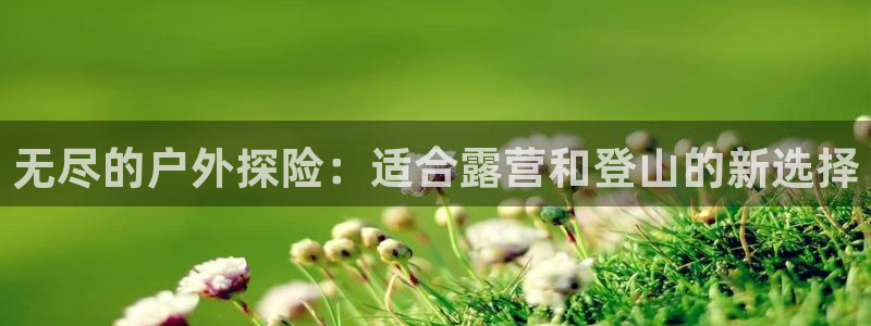 新宝gg提点