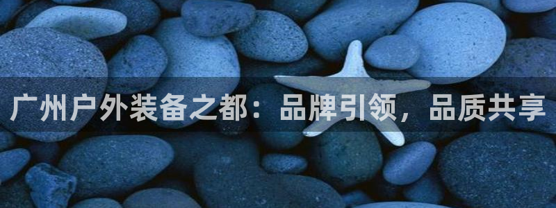 新宝gg工资