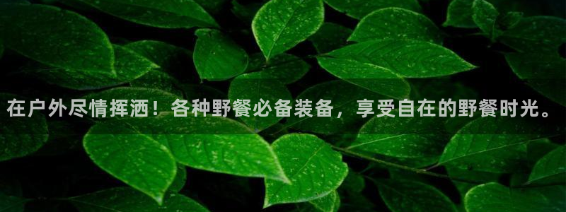 新宝gg娱乐官网