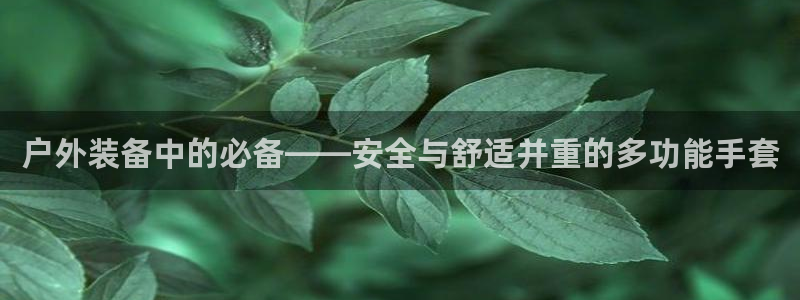 新宝gg是新宝几