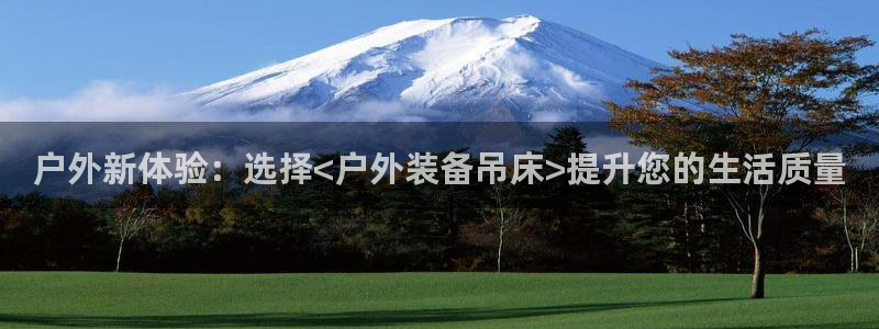 新宝gg下载官网下载